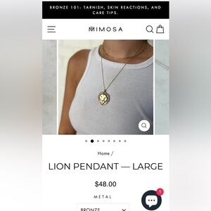 Bronze Lion Pendant, Large, with chain